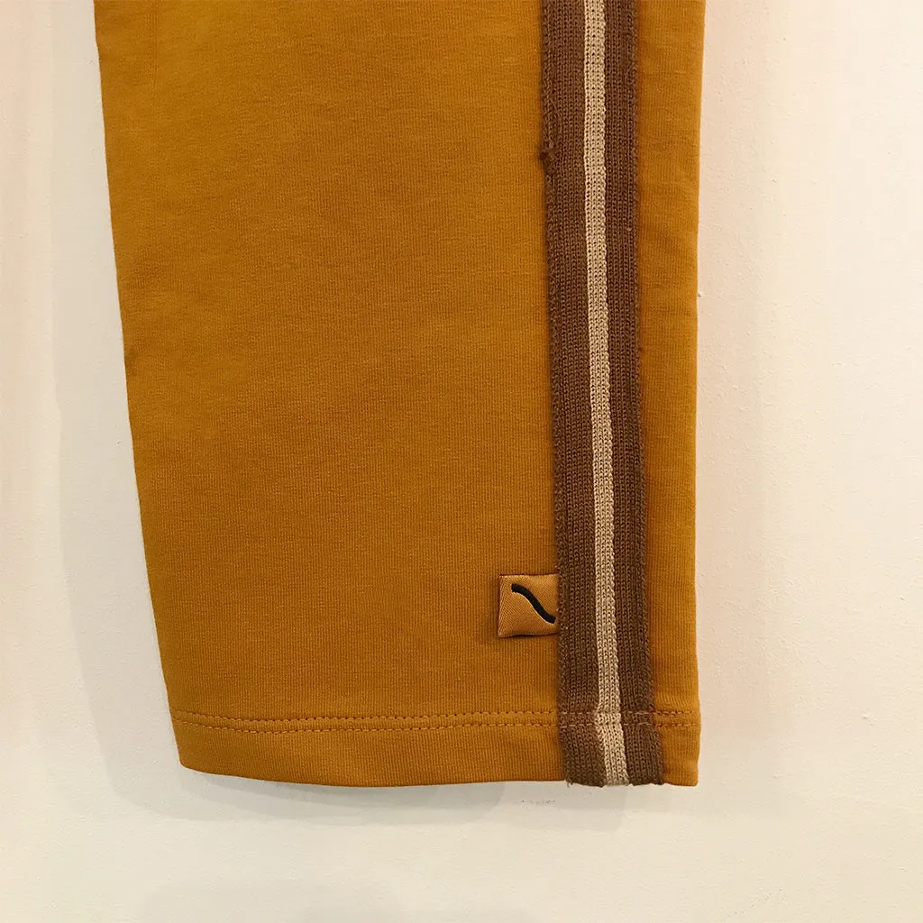 Chino Camel