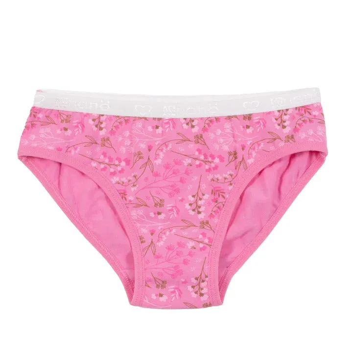 Nano Girls' 3 Pack Dinos Panties - Pink