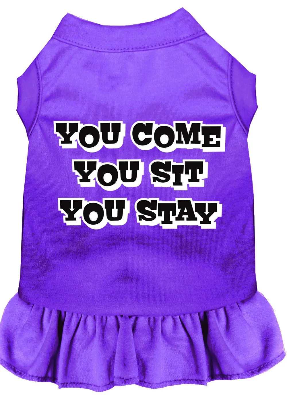 You Come, You Sit, You Stay Screen Print Dress Purple Lg (14)